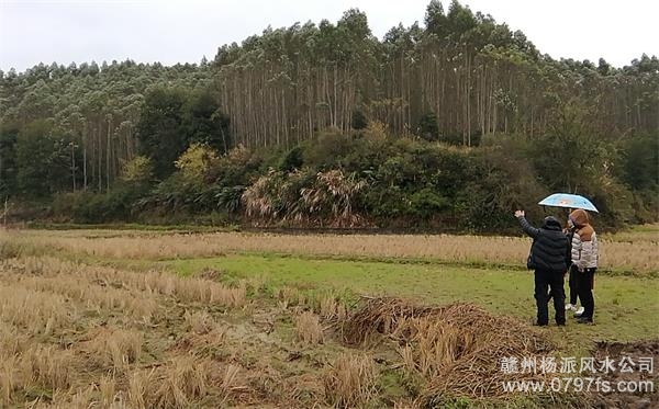 松江区陈老师带着爱徒寻龙点穴